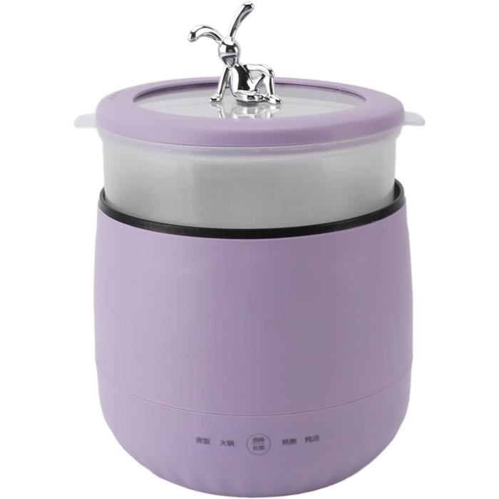 Ménage Marmite Électrique Multifonctionnelle Dortoir Petite Cuisinière Électriqu