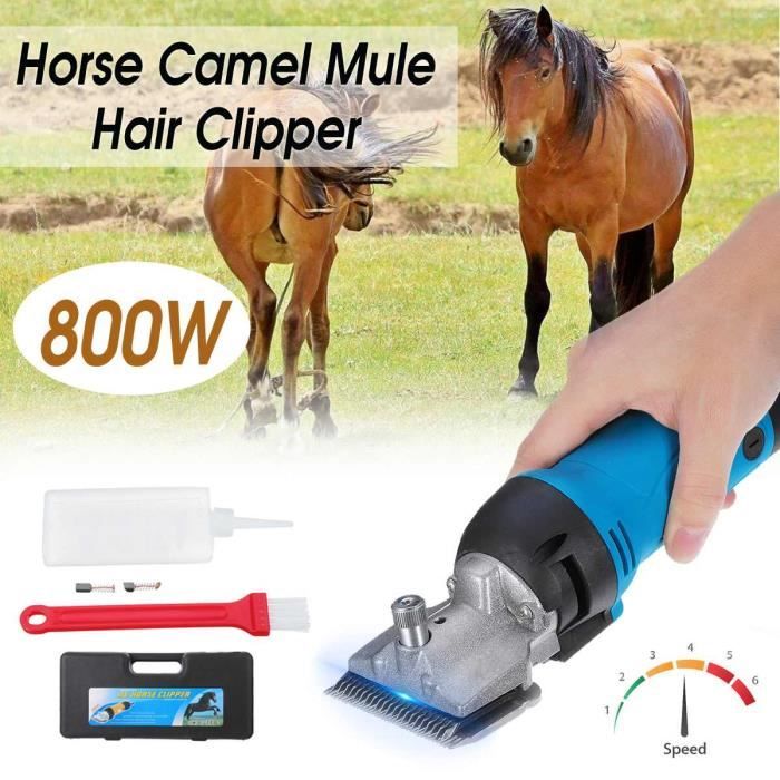 Comparer les prix de 1pcs 6 Vitesse Électrique Cheval Tondeuse À Cheveux Ferme Animal Cisaille Tondeuse Rasoir Machine De Coupe pour Chameau Vache Chèvr