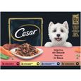 CESAR 48 Sachets fraîcheur en sauce 4 variétés pour chien 100g (4x12)-1