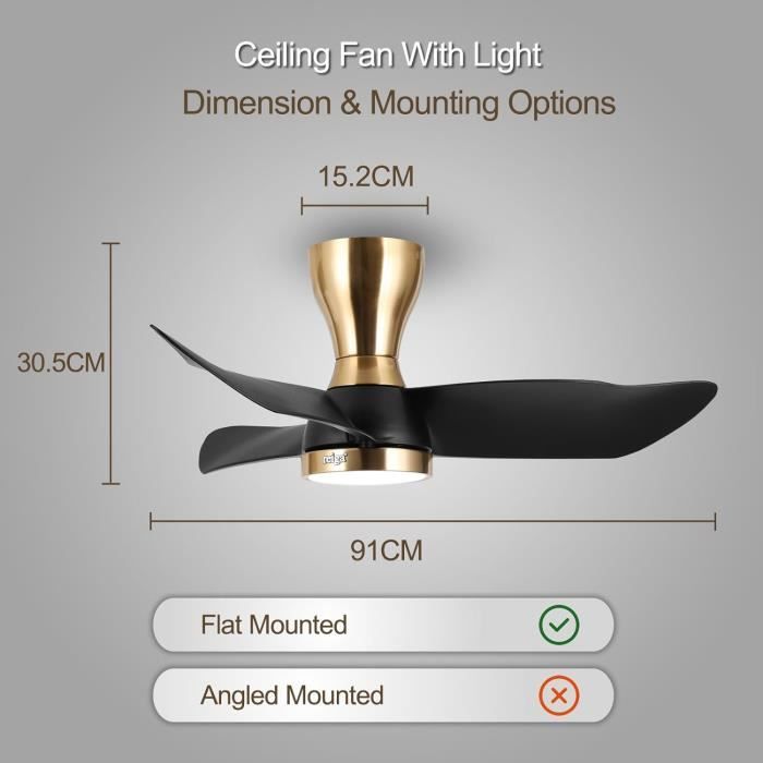 Ventilateur de Plafond Modulo Low Profile Noir avec Lumière Dimmable