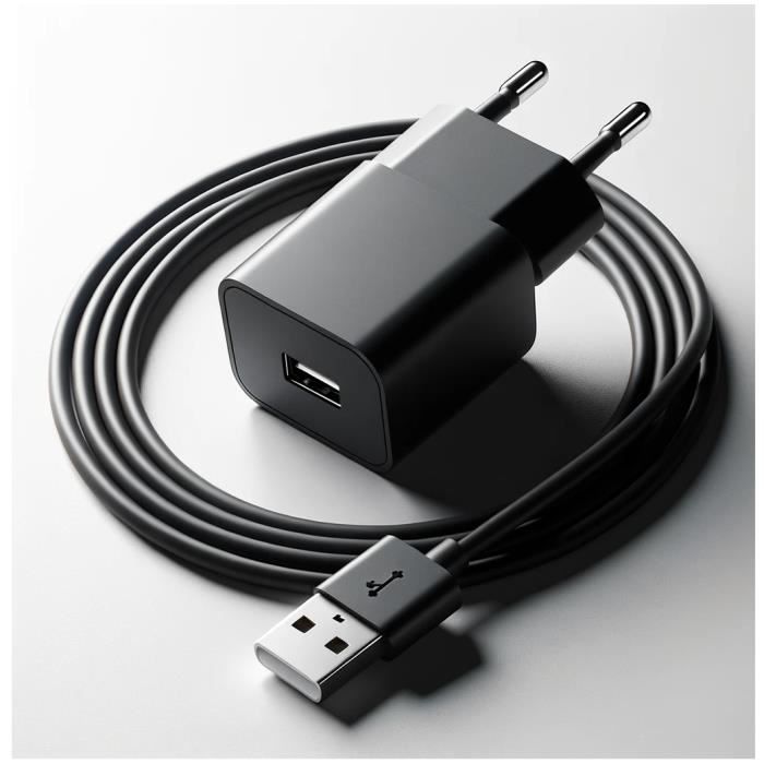 Chargeur secteur et câble USB charge et synchronisation pour liseuse Kobo  Nia - 100 cm - Straße Tech ® - Cdiscount Informatique