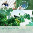 Filet anti-oiseaux en plastique, treillis en maille protège les Fruits et légumes des oiseaux et des animaux 4*10M-2