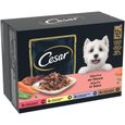 CESAR 48 Sachets fraîcheur en sauce 4 variétés pour chien 100g (4x12)-2
