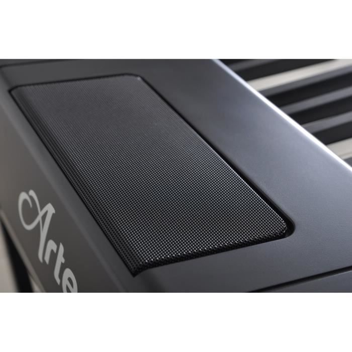 Delson piano portable online artesia 88 touches