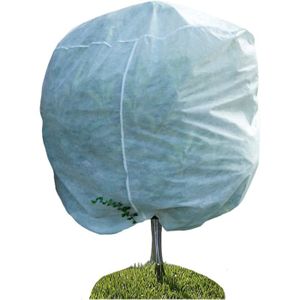 Voile Hivernage Plante Exterieur Toile de Protection Plante Hiver pour Citronnier,Palmier,Olivier (1pc 60 * 80) | Leroy Merlin Voile Hivernage Plante Exterieur Toile de Protection Plante Hiver pour Citronnier,Palmier,Olivier (1pc 60 * 80) | Leroy Merlin