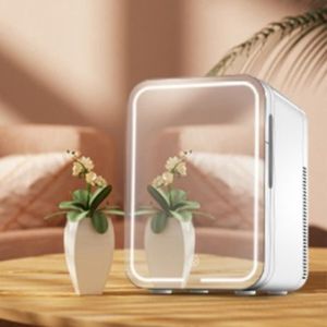 Mini Réfrigérateur Cosmétique Portable 13L pour Cosmétique Beauty avec  Miroir de Maquillage et Lumière LED 220V