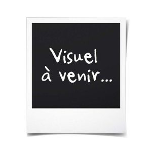 sac de voyage femme en cuir