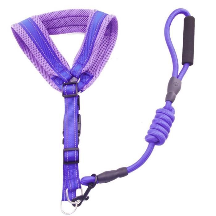 Harnais de course pour chiens en maille qualité - Accessoires pour grands chiens, accessoires pour ani - Modèle: 1 L - FYCWQSB04846