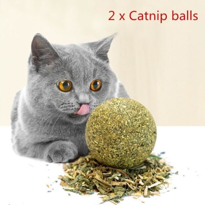 Jouet,Boule de chat chat de compagnie 2 pièces Aide alimentaire préféré chaton menthe, petite boule à mâcher, jouets - Type green