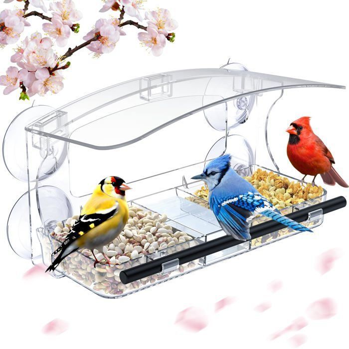 Meilleurs prix pour Grande Mangeoire à Oiseaux pour Fenêtre Transparente 26 x 14 x 55 cm - Window Bird Feeder