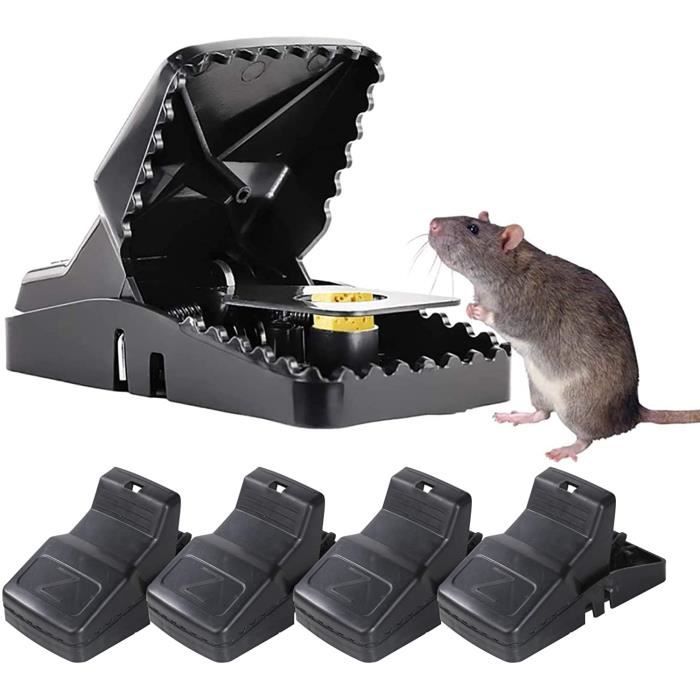 Piège à Souris, Tapette à Rat, Pieges a Rat Réutilisable, Facile à  Installer, Paquet de 5[358] - Cdiscount Au quotidien