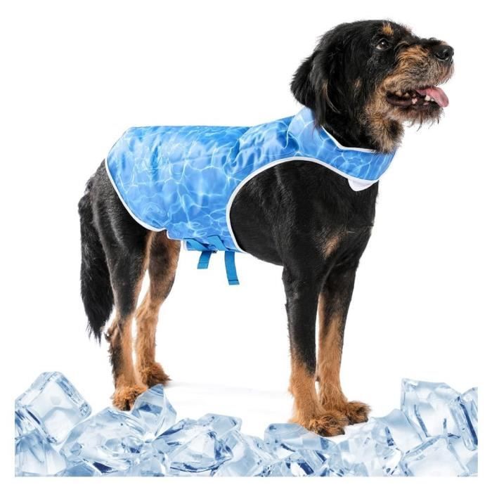 Gilet refroidissant pour chien deals