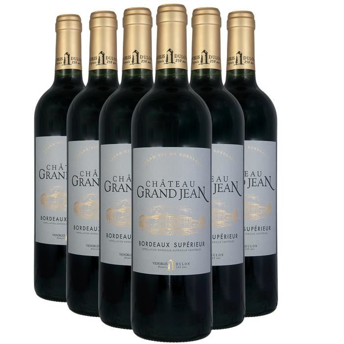 Château Haut Bertinerie Grand Vin Rouge 2018 - Lot de 6x75cl - Vin Rouge de  Bordeaux - Appellation AOC Côtes de Bordeaux Blaye - La cave Cdiscount