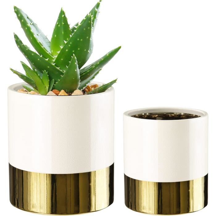 Pot De Fleurs Amusant Pour Plantes Grasses - Décoration Bureau Créative En Résine