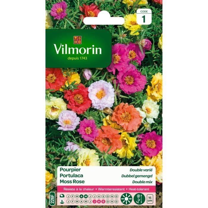 VILMORIN Pourpier a grande fleur double varié