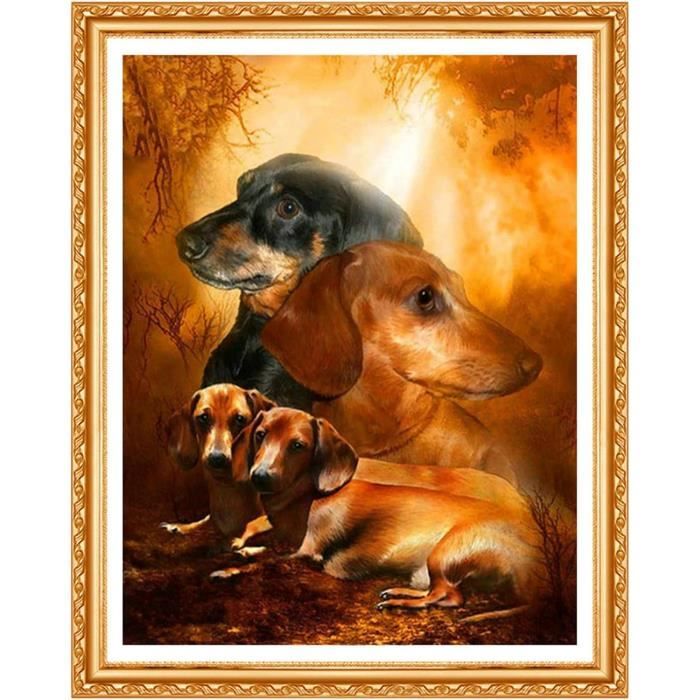 5D Diamond Painting Diy Kits Chiens Chats, Broderie Diamant Kits Animaux De Broderie Au Point De 5D Diamond Painting Diy Kits Chiens Chats, Broderie Diamant Kits Animaux De Broderie Au Point De