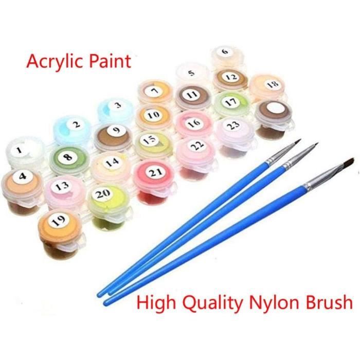 6 Peintures Par Numéros Adulte 20x30cm - Kit Complet Avec Pinceaux Et Peintures Pour Décoration Murale