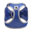 Blue XS -Harnais réfléchissant en Nylon pour chien et chat, réglable, accessoire pour chiot, bouledogue français, Chihuahua, carlin-0