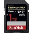 Carte mémoire flash - SANDISK -  - 1TB -  -  (SDSDXXY-1T00-GN4IN)-0
