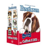 DVD Beethoven 1 à 5