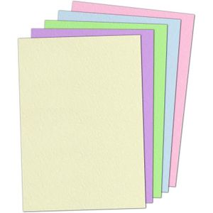 Bloc papier cartonné 50 feuilles A4 300g 25 couleurs assorties