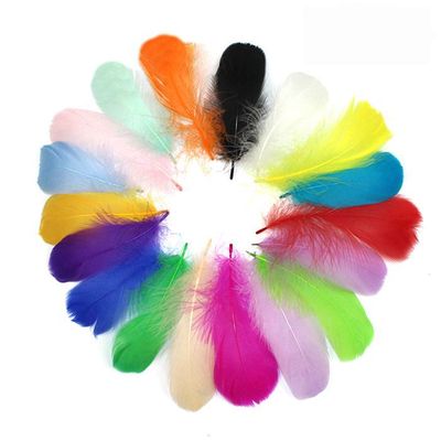 LSYYSL Lot De 100 Plumes Colorées Et 100 Plumes Perlées