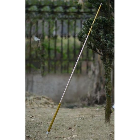 Notre Top 10 Des Baton Magique Au France