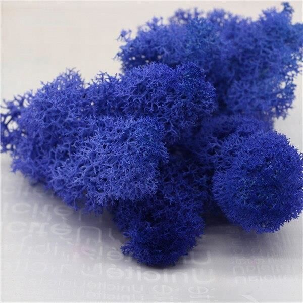 Artificielle plante verte immortelle fausse fleur mousse herbe salon décoratif mur fleurs bricolage Mini accessoires Sim*LL8949