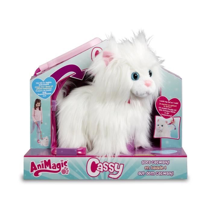 31238 4300 Cassy En Balade 3 0 Mon Petit Chat A Promener Gveoc