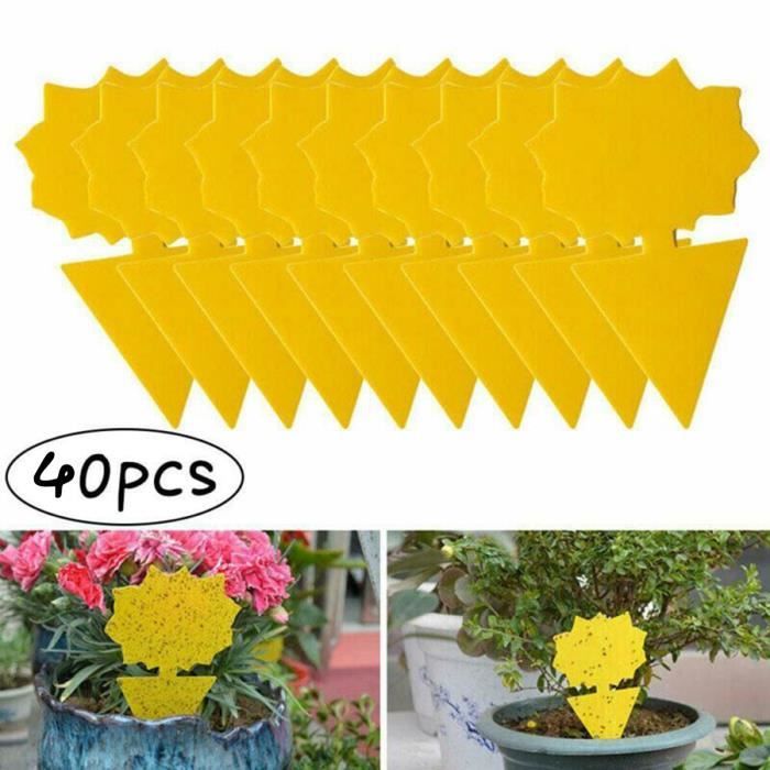 40 Pièces Pièges à Insectes Jaunes Double Face - Attrape-Mouches, Moucherons, Pucerons Et Aleurodes Pour Plantes Intérieur & Extérieur