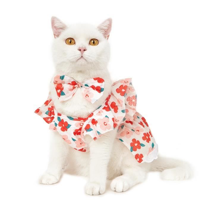 Robe hotsell pour chat