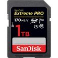 Carte mémoire flash - SANDISK -  - 1TB -  -  (SDSDXXY-1T00-GN4IN)-1