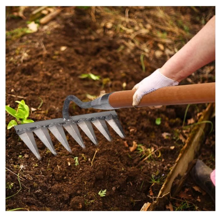 STFALI Râteau De Jardin 6 Dents – Acier Carbone – Pour Désherber, Aérer, Semer – Manche Ergonomique