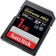 Carte mémoire flash - SANDISK -  - 1TB -  -  (SDSDXXY-1T00-GN4IN)-3