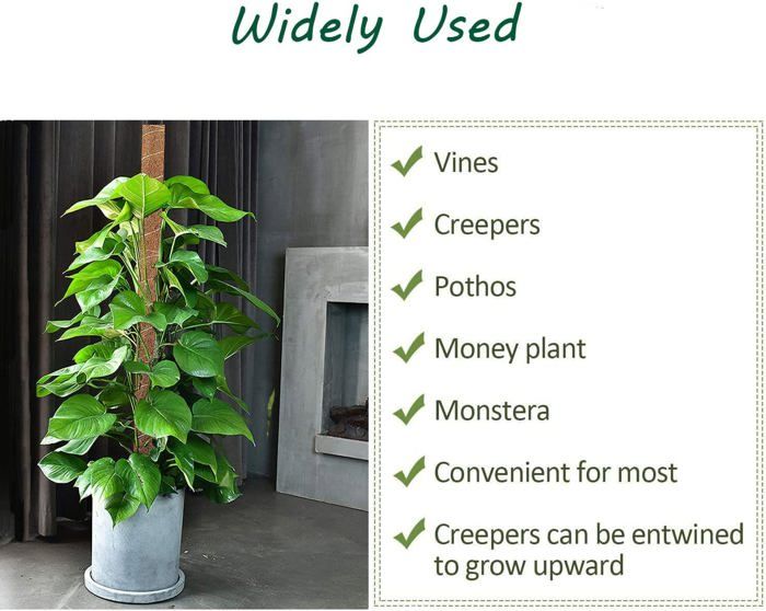 HTRTRR Tuteur Plante Grimpante Pliable 120 Cm – Lot De 2 Totem Coco En Mousse Sphaigne, Forme DIY, Avec Ficelle, Attaches & Étiquettes – Support Naturel Pour Monstera, Pothos, Lierre