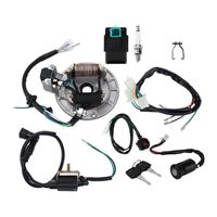 SALALIS-Interrupteur d'arrêt Bobine d'allumage CDI Faisceau de cbles de bougie d'allumage Kit de stator magnéto pour auto haute