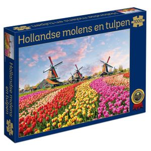 VÉLO DE VILLE - PLAGE Moulins à vent et tulipes hollandais Tucker's Fun Factory (1000)