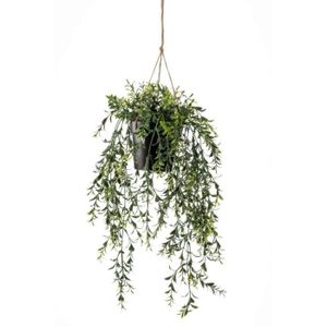 Sprengeri vigne 50 cm-ASPARAGUS Busch artificielle plante art Plantes Suspendues