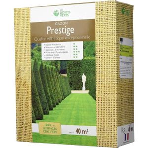 GRAINE - SEMENCE Prestige - Semence Pure[m354] - Fleurs - Ensemencer un gazon - Vert - 1 kg pour ensemencer 40 m2