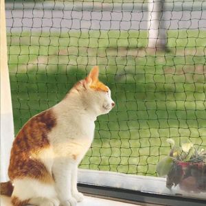Securite Du Chat Cdiscount Animalerie