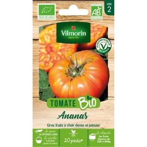 GRAINE - SEMENCE Tomate ananas jaune bio Vilmorin - Variété ancienn