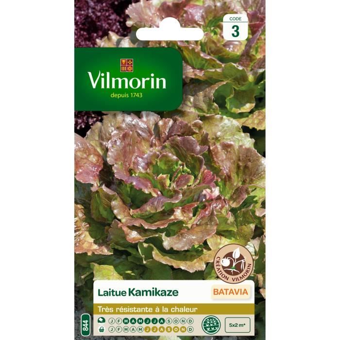 VILMORIN Sachet graines de Laitue Batavia KAMIKAZE Feuilles rouges