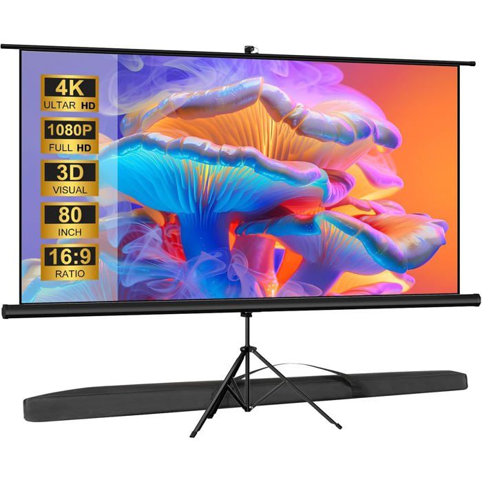 Écran Projecteur 80