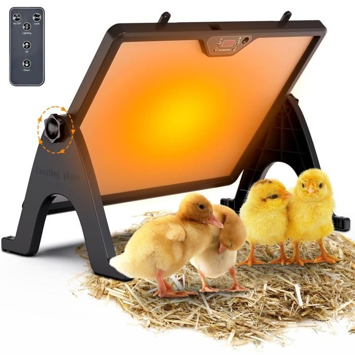 Meilleurs prix pour Plaque Chauffante Poussin avec Lumière Chauffage Double Face pour Poulailler avec Télécommande Température Réglable Rotation