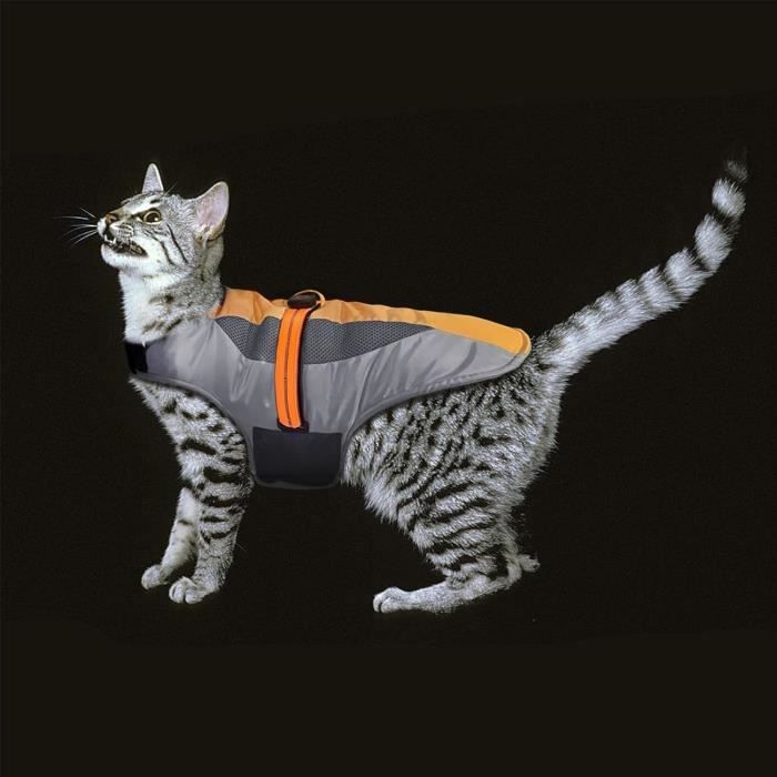 Veste baseball d’hiver pour chien et chat