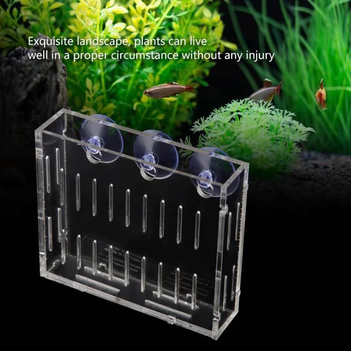 Tasse de plante vivante d'aquarium, tasse de plante d'aquarium, conception  acrylique de 3 ventouses pour le décor de réservoir