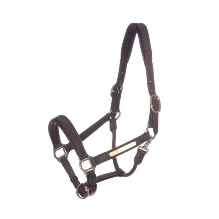 Parure de bosal en cuir brut fait main, 40 tresses