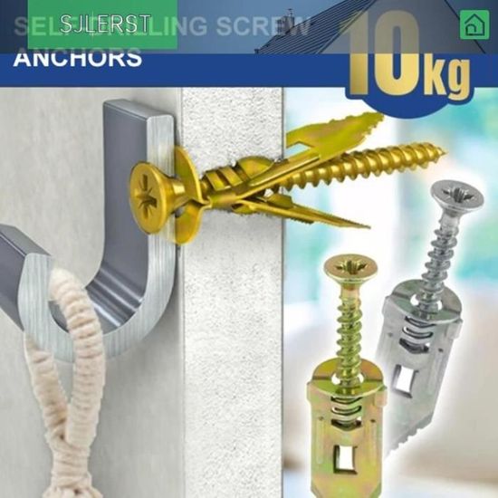 5 Chevilles Autoforeuses Placoplâtre 16 Mm – Kit Crochet à Vis Zingué, Support 2,5 Kg