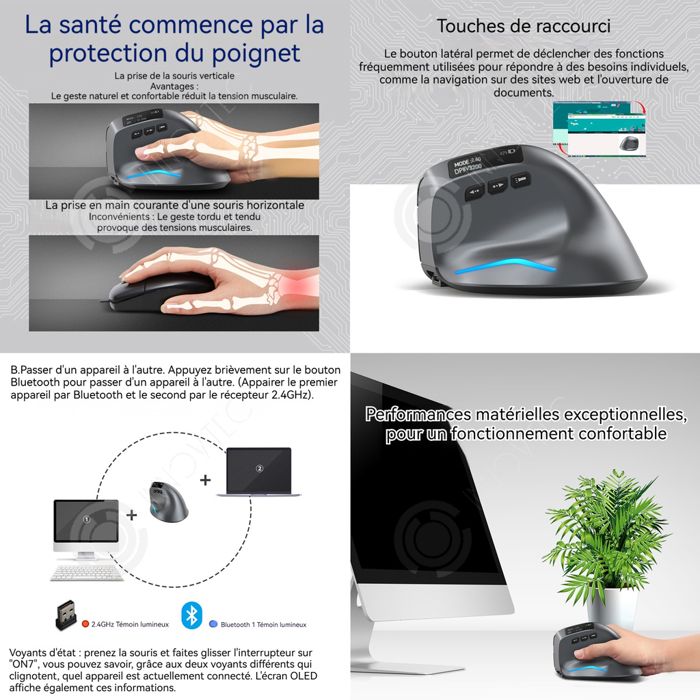 Souris Verticale Sans Fil Ergonomique - Rechargeable, 2.4G, Réglable 800/1200/1600 DPI