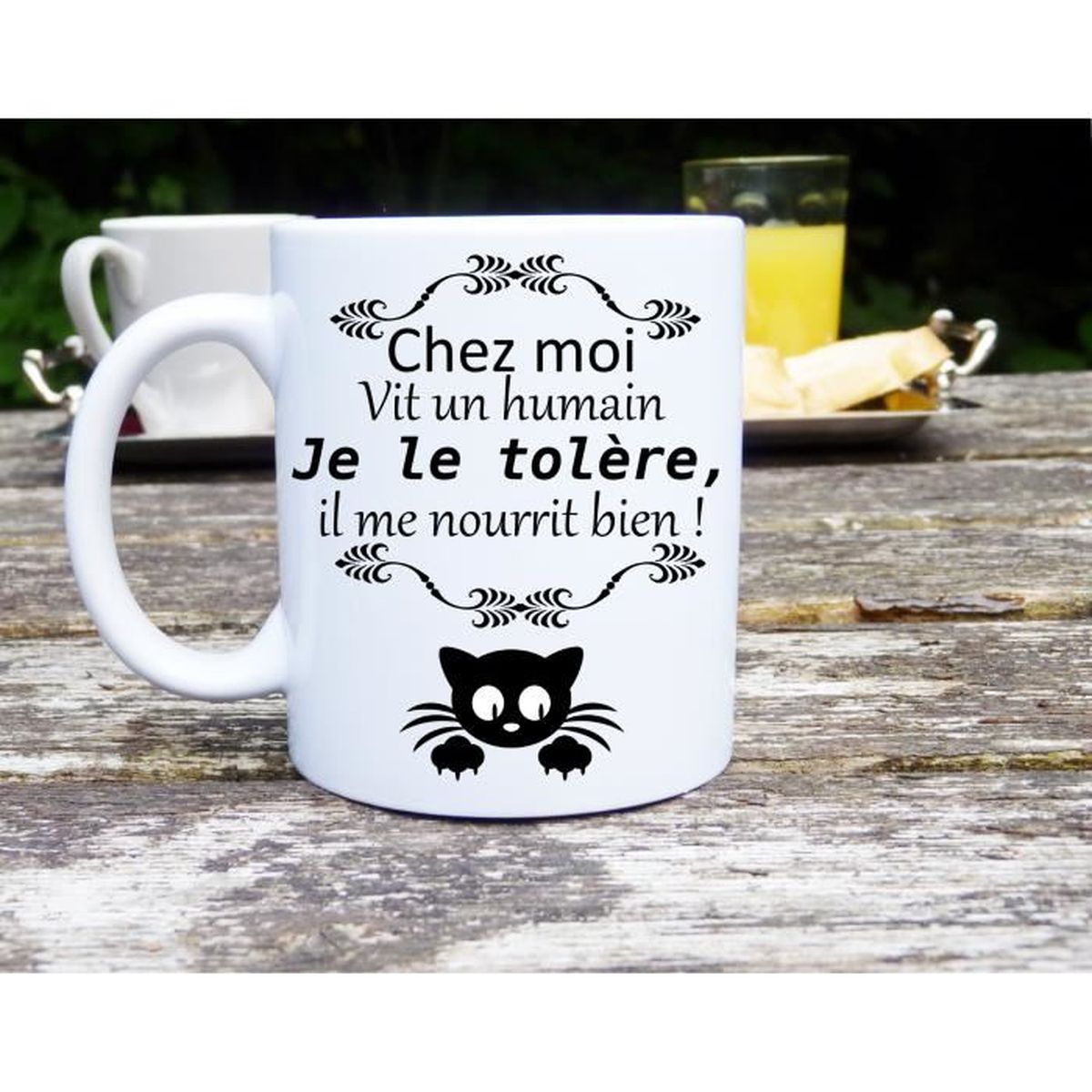 Mug Chat Humour Chez Moi Vit Un Humain Idee Cadeau Passion Chat Cdiscount Maison